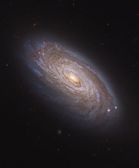messibet 88|APOD: 2022 December 28 .